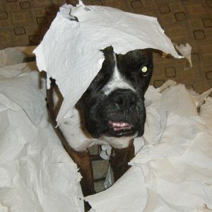 Meet your Posher, Kindra